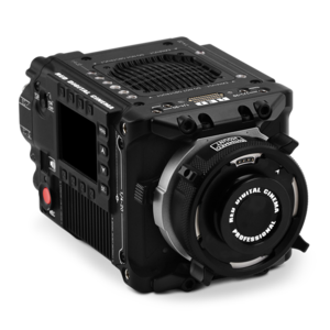 D.L.I.P. レコード　Dの目　アダプター　RED D.L.I.P. レコード Dの目 アダプター RED